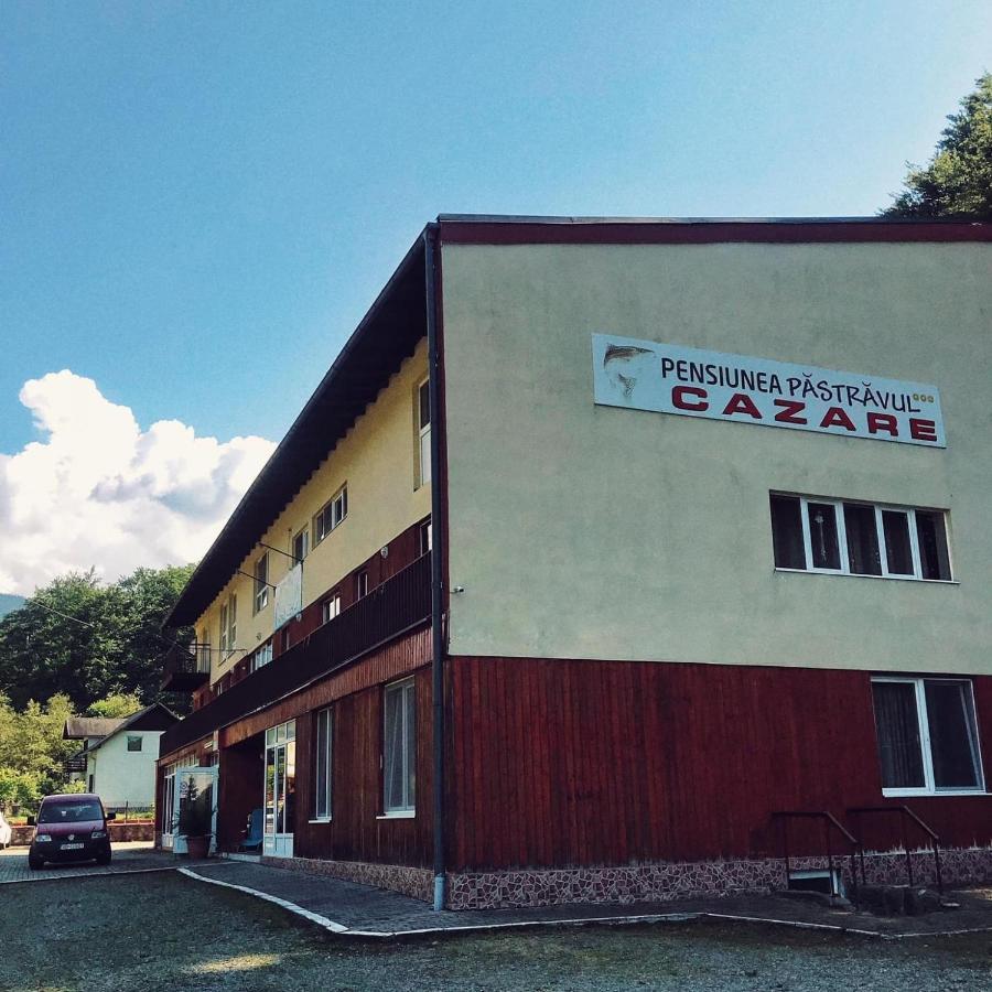 Pensiunea Pastravul Hotel Cartisoara Exterior photo