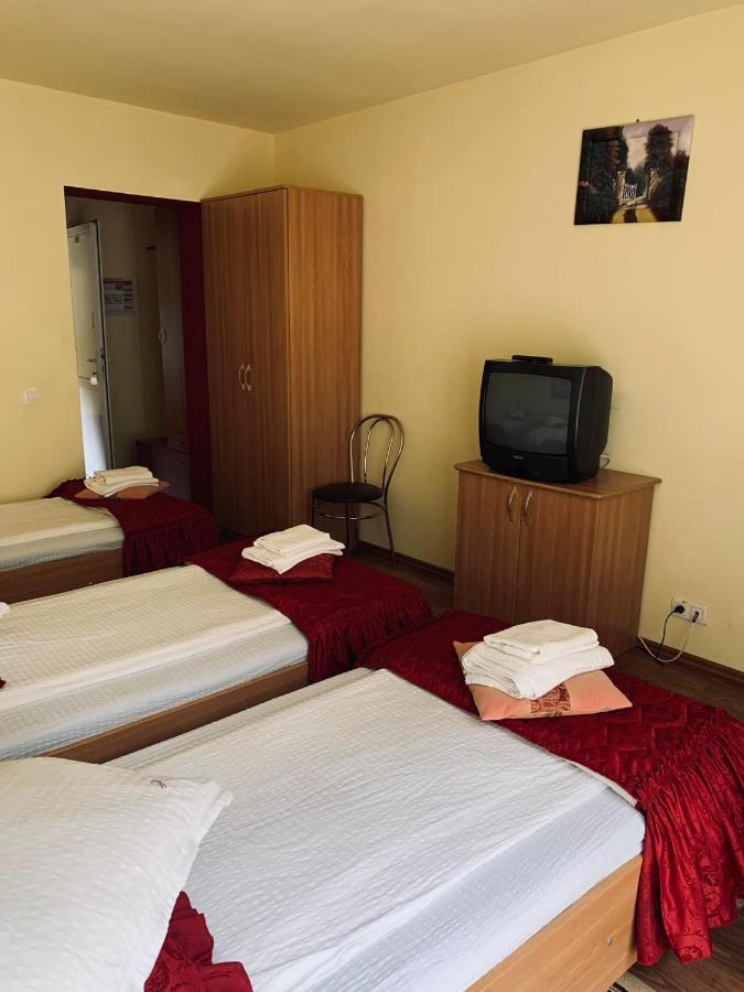 Pensiunea Pastravul Hotel Cartisoara Exterior photo